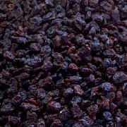 Yaban Mersini Kurusu